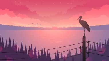 Stork sitting on wires on the background of sunset and lake. Wildlife landscape.