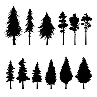Trees black and white silhouette collection. Fir and pine templates, botany elements.
