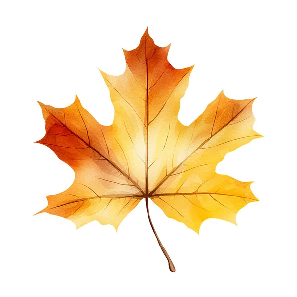 Maple Jesień Akwarela Liść Izolowany Białym Tle Projekt Elementu Botanicznego — Zdjęcie stockowe