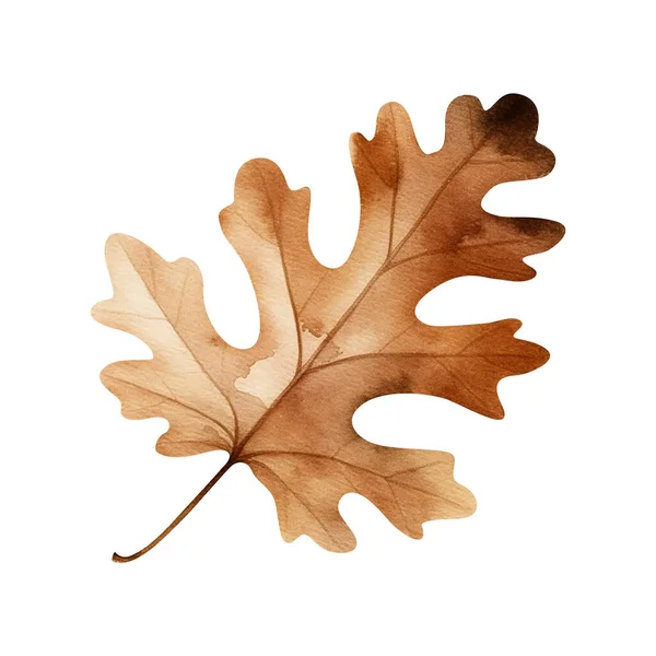 白い背景に隔離された秋の水彩の葉 植物エレメントデザイン — ストック写真