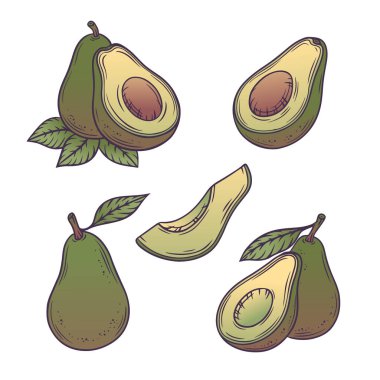 Avokado takımı. Düz çizgi biçiminde tropikal meyve tasarım elementlerinin toplanması. Vektör illüstrasyonu.