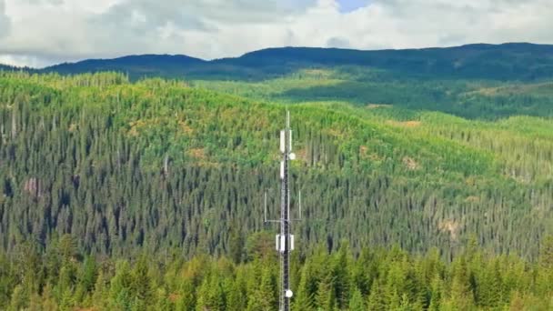 Antena Gsm Wzgórzu Środku Lasu — Wideo stockowe