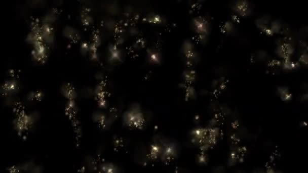 Animation Feuerwerk Glitzert Partikel Bewegungsgrafik — Stockvideo