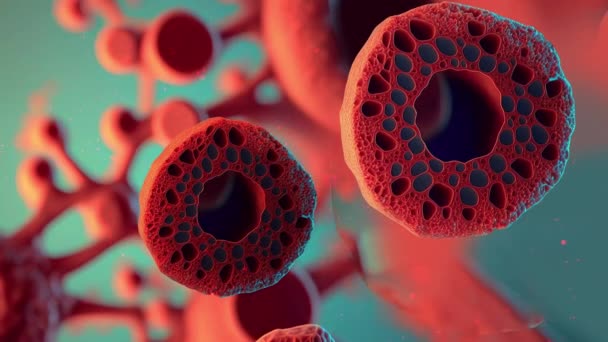 Anemia Bawah Tampilan Mikroskop Animasi — Stok Video