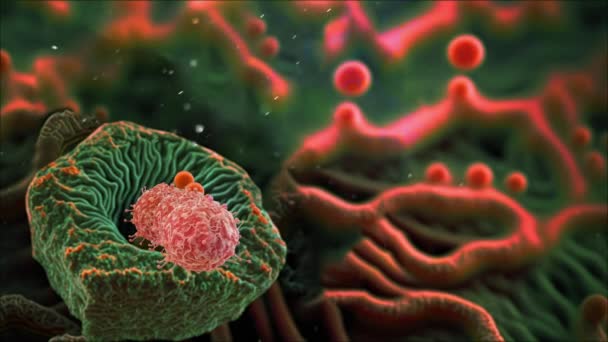 受损和瓦解的癌细胞的动画 — 图库视频影像