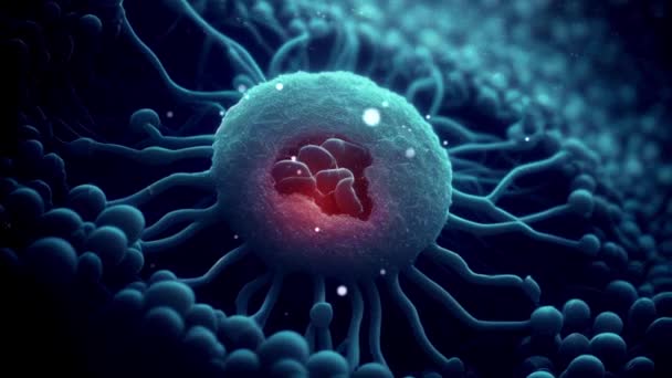 Animația Unei Celule Canceroase Deteriorate Dezintegrate — Videoclip de stoc