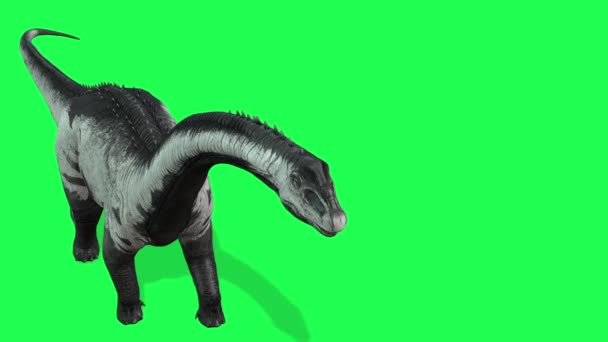 Animación Brachiosaurus Rebaño Saurópodo Caminando Busca Comida Pantalla Verde — Vídeo de stock