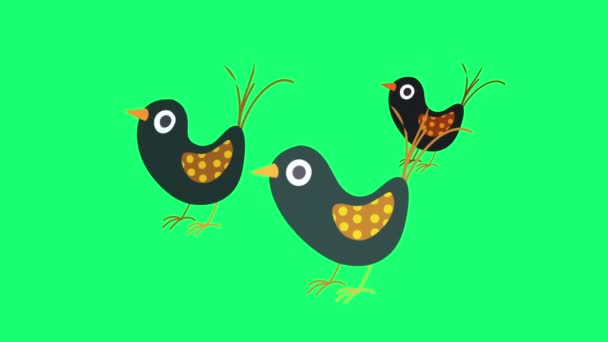 Geanimeerde Cartoon Birds Het Groene Scherm — Stockvideo