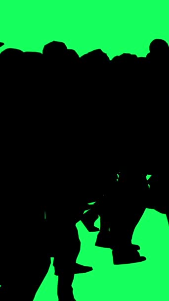 垂直动画 在色键绿色背景上行走的一组不同的人的轮廓 — 图库视频影像