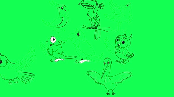Animatie Verscheidenheid Van Cartoon Vogels Geschetst Een Fel Groene Chroma — Stockvideo