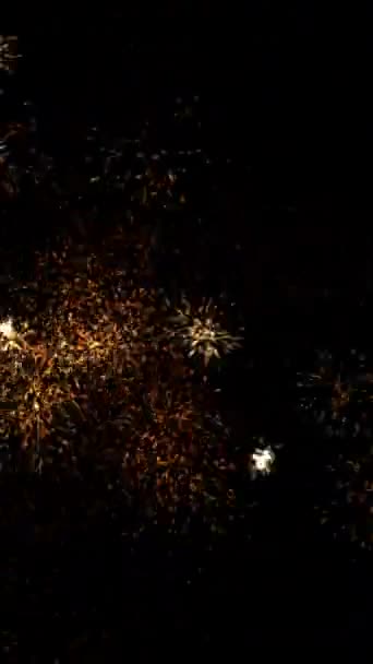Vertikale Animation Lebendiges Goldenes Feuerwerk Das Den Dunklen Nachthimmel Während — Stockvideo