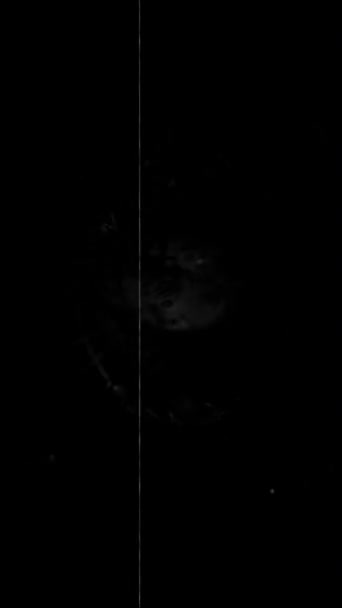 Вертикальная Черно Белая Анимация Жуткое Абстрактное Искусство Изображающее Череп Жуткие — стоковое видео