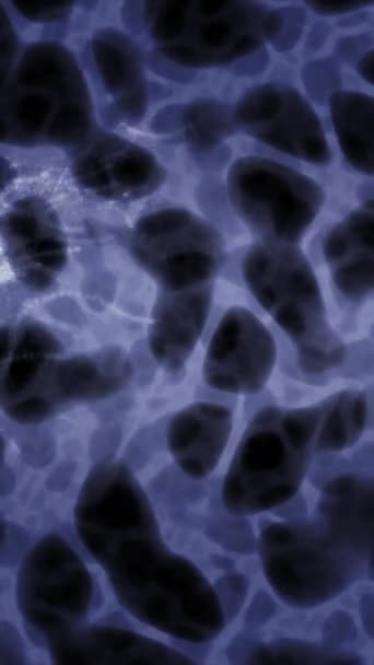 蓝色调色板和类似星星或尘埃的闪光粒子的空间抽象数字表示 — 图库视频影像