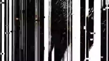 Gürültü, Parazit ve Saptırılmış Görsel Efektler içeren Soyut Arıza Videosu
