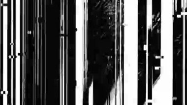 Özet Siyah ve Beyaz Gürültü Arkaplan Animasyonu Bozulma ve Arıza Efektleri