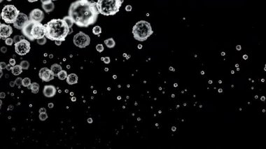 Beyaz kan hücreleri siyah bir arkaplanda akıyor. Tıbbi, sağlık ve bilimle ilgili projeler için ideal. Bağışıklık, sağlık ve hastalıkları temsil eder.