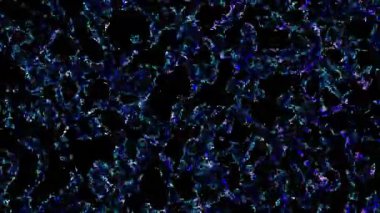 Siyah arkaplanda dönen soyut mavi ve mor parçacıklar. Bu kusursuz döngü yaratıcı projeler için mükemmel..