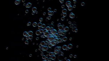 Sabun köpükleri siyah arka planda yukarı doğru yüzer. Bu stok video bir arkaplan ya da geçiş için mükemmel.