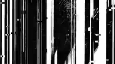 Özet Siyah ve Beyaz Gürültü Arkaplan Animasyonu Bozulma ve Arıza Efektleri