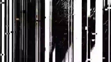 Gürültü, Parazit ve Saptırılmış Görsel Efektler içeren Soyut Arıza Videosu