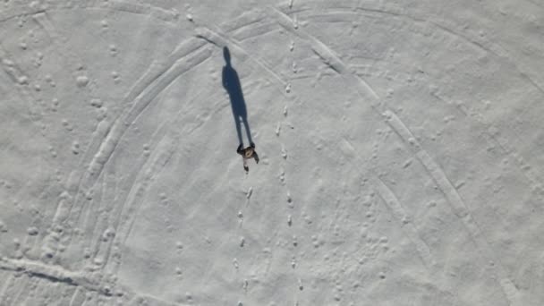 晴れた日に雪の上を歩く若い男のドローンビュー 冬に傷に這う若い男のビュー 雪の中に残された足跡 — ストック動画