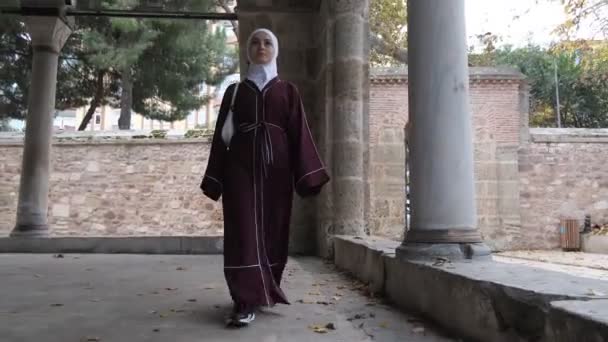 Slami Mimariyi Ziyaret Etmek Ibadet Için Camiyi Ziyaret Etmek Osmanlı — Stok video