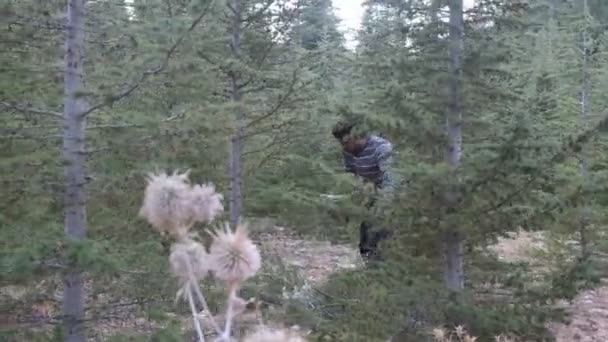 Лесоруб Собирает Кусты Лесу Человек Который Приходит Лес Рубить Дерево — стоковое видео