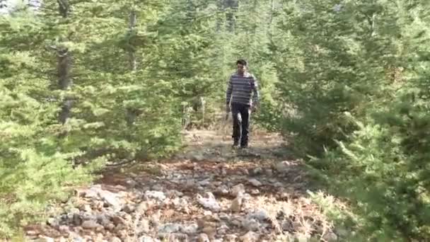 Regardant Homme Hache Main Arbre Faire Une Promenade Dans Forêt — Video