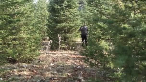 Caminhada Homem Floresta Caminhando Pela Floresta Com Machado Ombro Jovem — Vídeo de Stock