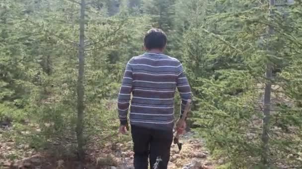若者が手斧日光で森の中を歩くと 人々は木を伐採し 森の中を散歩するのはいいことです — ストック動画