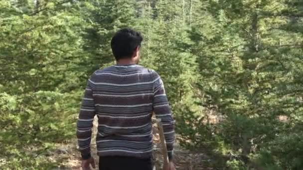 Лесоруб Идущий Назад Прогуливается Лесу Уход Лесом Идентификация Человеческой Души — стоковое видео