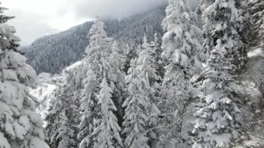 Kışın karla kaplı çam ormanından geçen yol ve tünelin havadan görünüşü, kışın kar yağar.