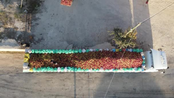 用拖拉机把五颜六色的苹果装上卡车运送 农民收集的水果装上汽车分发的空中景象 — 图库视频影像