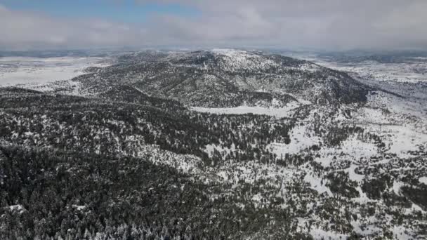 Αεροφωτογραφία Ενός Χιονισμένου Τοπίου Ανάμεσα Στα Δέντρα Από Την Κορυφή — Αρχείο Βίντεο