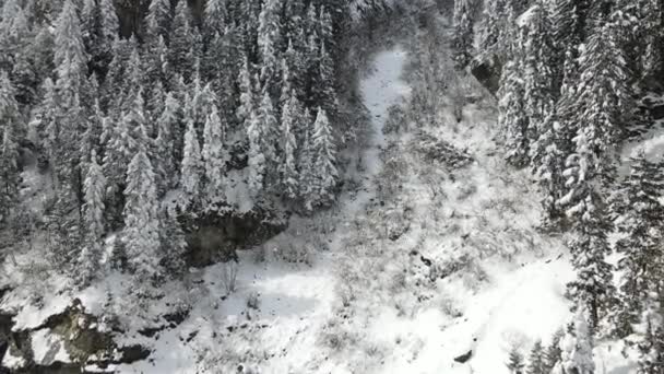Hermoso Tiro Dron Cadenas Montañosas Paisaje Ambientado Valle Completamente Cubierto — Vídeos de Stock