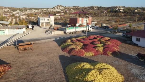 Vista Aérea Los Agricultores Apilando Sus Manzanas Coloridas Cosechadas Lote — Vídeos de Stock