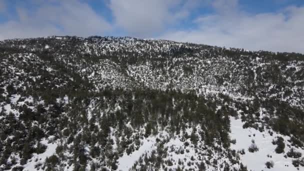 寒い晴れた日に白い雪で覆われた山の頂上に冷凍木 冬は非常に寒いですが 曇りの航空 — ストック動画