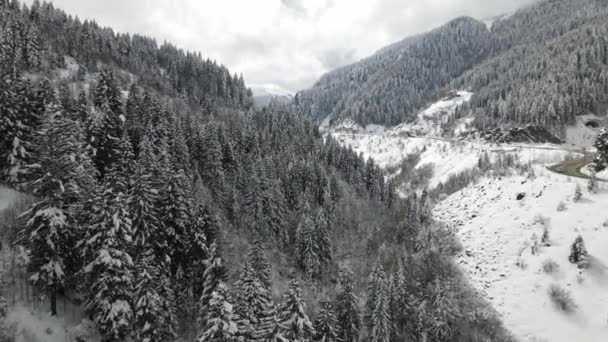 Vista Aérea Estrada Através Floresta Pinheiros Coberta Neve Temporada Inverno — Vídeo de Stock