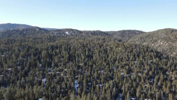 空中俯瞰着户外的雪地森林树梢 每棵树枝都被雪完全覆盖 冬天很冷 因此结冰了 — 图库视频影像