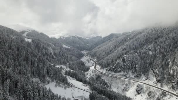 Letecký Pohled Dálnici Projíždějící Zasněženým Lesem Oblačného Zimního Dne Obloha — Stock video
