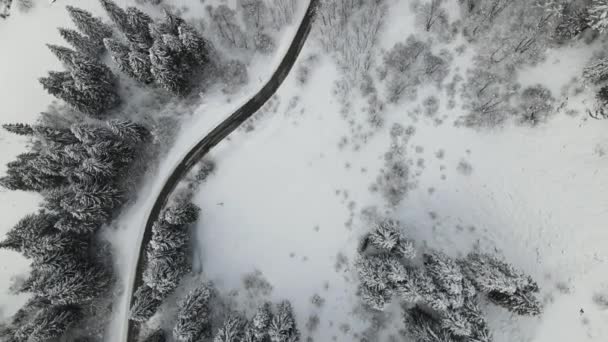空中俯瞰着冬季白雪覆盖的松树林 空中俯瞰着冬季的风景 雪覆着森林 冬季是寒冷的 — 图库视频影像