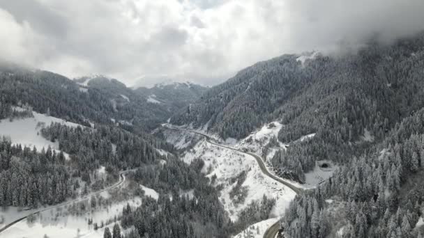 Vista Superior Del Bosque Nevado Desde Cruce Carreteras Invierno Carretera — Vídeo de stock