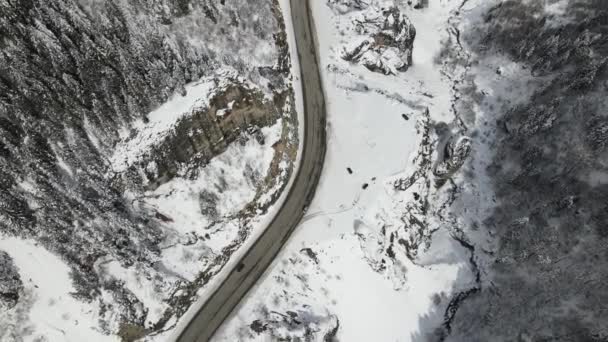 Χιονισμένα Δέντρα Στο Χειμερινό Δάσος Που Καλύπτεται Δρόμο Κρύο Του — Αρχείο Βίντεο