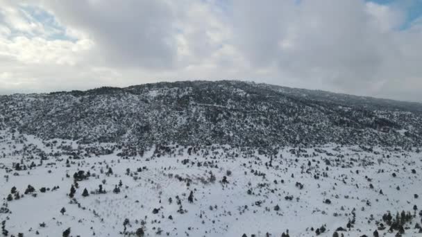 雪に覆われた土地の後ろに立つ雪の山の空中ビューは すべての木の枝は完全に雪で覆われています — ストック動画