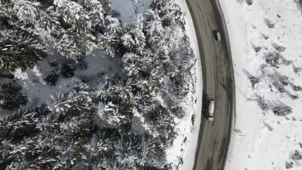 Letecký Pohled Auta Jedoucí Zasněžené Silnici Lesa Nad Borovicemi Objevuje — Stock video