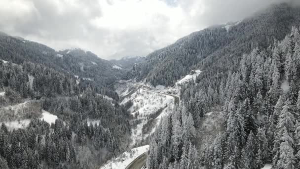 Bosque Invierno Con Árboles Nevados Vista Aérea Carretera Naturaleza Invierno — Vídeo de stock