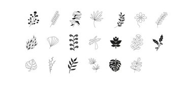 Collection hand drawn branches and leaves isolated on white background. Set of cartoon floral design elements. Vector botanical illustration. Laurel leaves wreath and decorative branch bundle