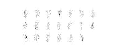 Vector botanic illustrations. Botanical clipart. Set of line art branches. Floral Herb Design elements. Perfect for wedding invitations, greeting cards, blogs, posters and more. Vector illustration