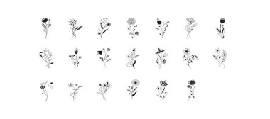 Set of hand-drawn floral elements, plants and flowers. Isolated branches on a white background. Sketchy elements of design. Invitation, greeting card, wallpaper, wedding invitation, save the date.