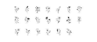 Meadow flowers and twigs, tree branches, summer grass herbs, vector set. Hand drawn doodle flowers, herbs, twigs botany collection. Dogwood, willow, clover, berries, olive branch, grass plants